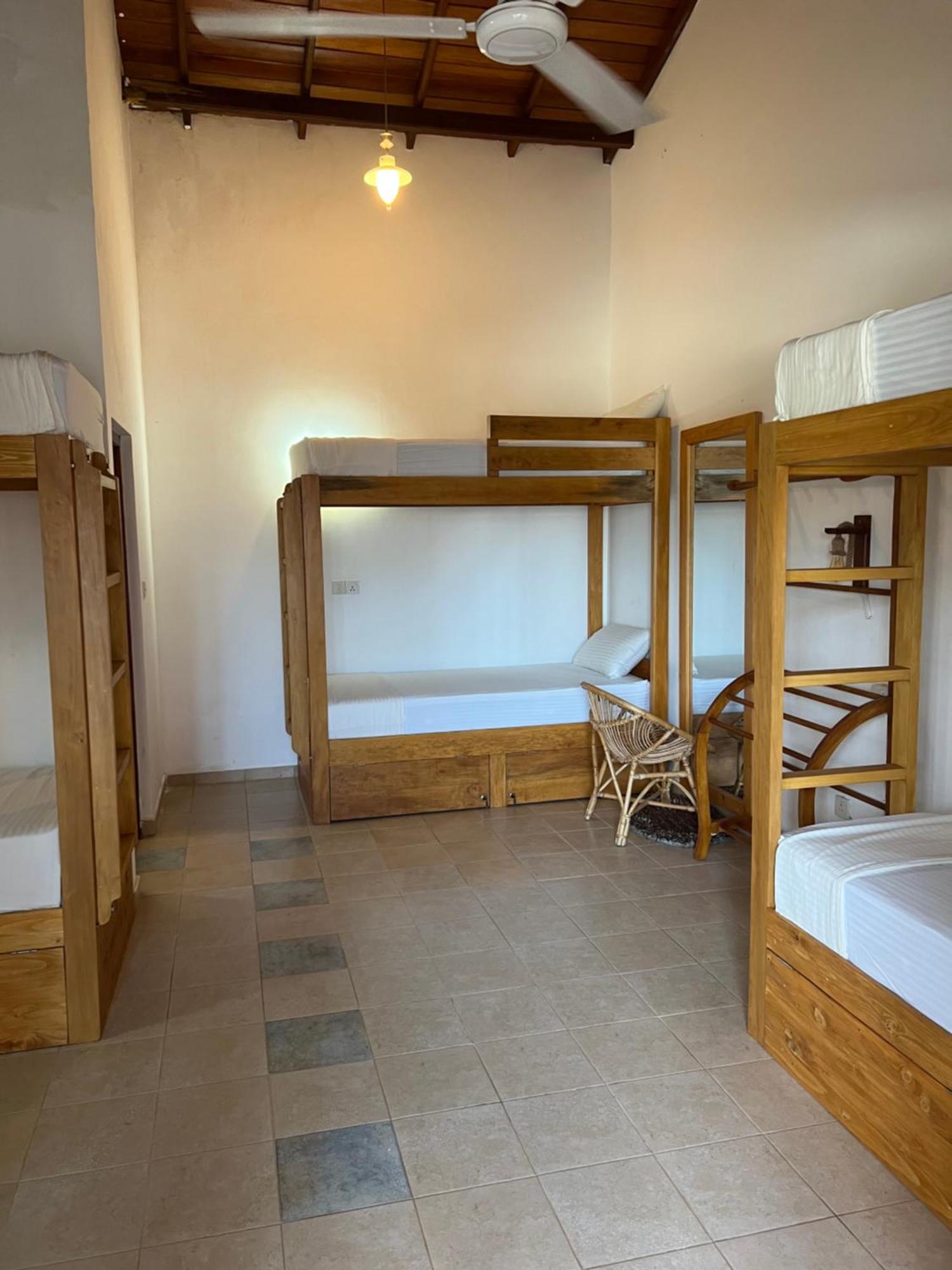 Hummus Hostel Hikkaduwa Extérieur photo